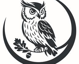 Dinton_C_of_E_Primary_School_-_Brand_Mark_-_Full_Colour_-_CMYK_low_res.jpg
